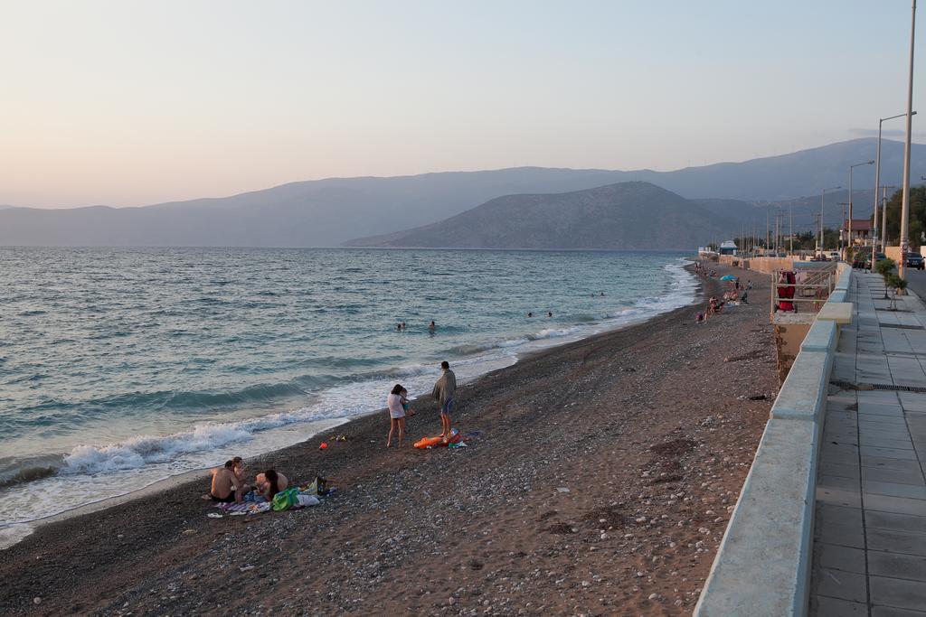 Lak Alepochori Homes Kato Alepokhorion Dış mekan fotoğraf